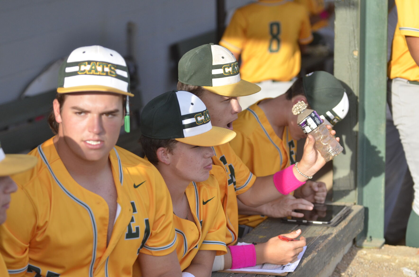 Edgewood playoff baseball